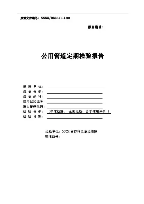 公用管道定期检验报告
