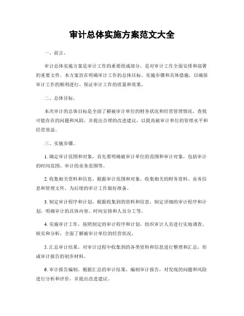审计总体实施方案范文大全