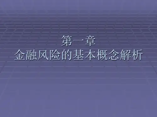 第一章_金融风险的基本概念解析