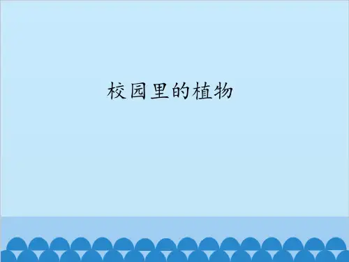 粤教版小学科学新版一年级下册科学第14课《校园里的植物》粤教版(共28张PPT)