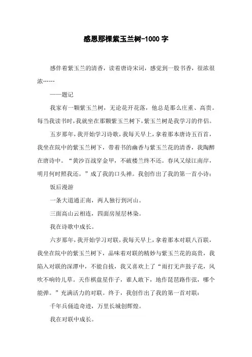 感恩那棵紫玉兰树-1000字六年级作文叙事