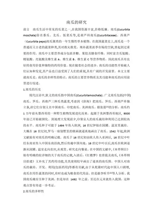 南瓜
