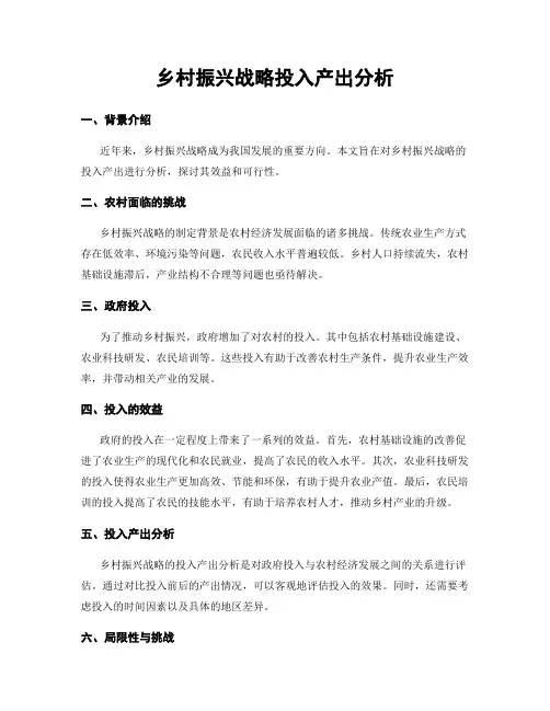 乡村振兴战略投入产出分析