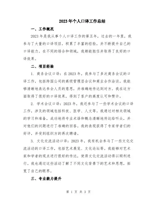 2023年个人口译工作总结