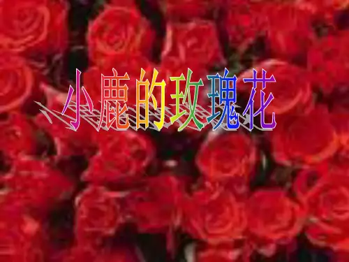 小鹿的玫瑰花PPT课件