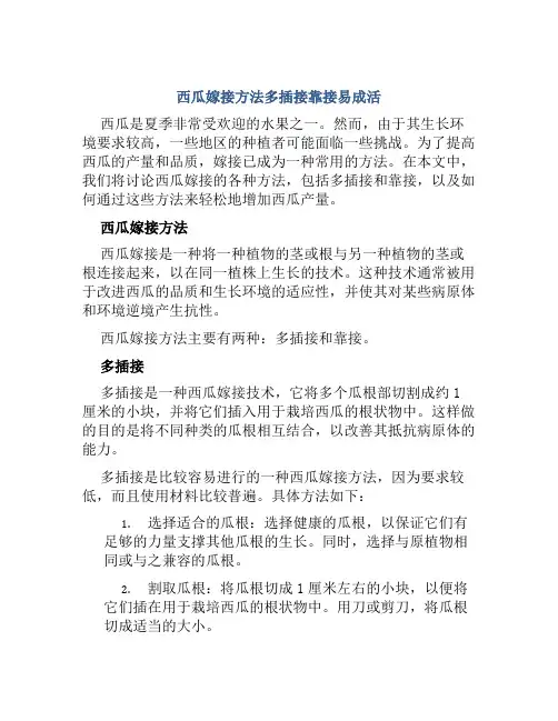 西瓜嫁接方法多插接靠接易成活