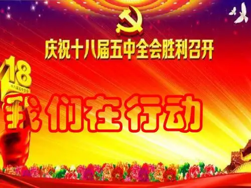 鲁教版思品九年级《我们在行动》
