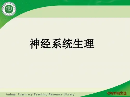神经系统生理 - 神经系统对躯体运动的调节讲解