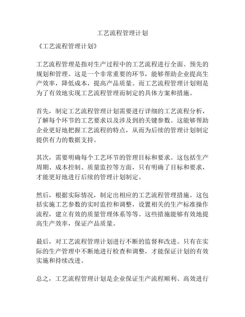 工艺流程管理计划