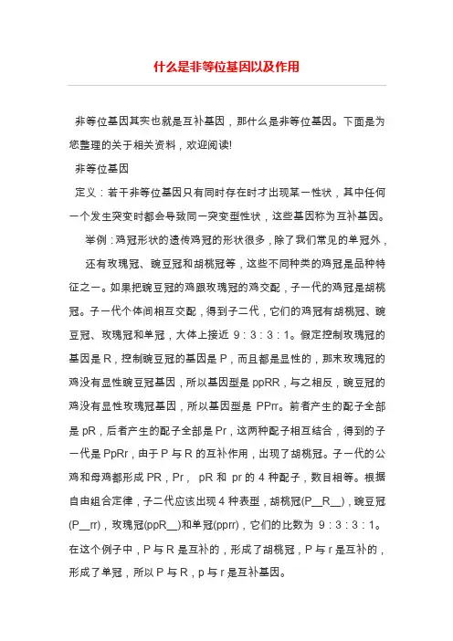 什么是非等位基因以及作用