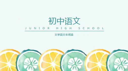 中考语文一轮复习：《文学类文本阅读》课件