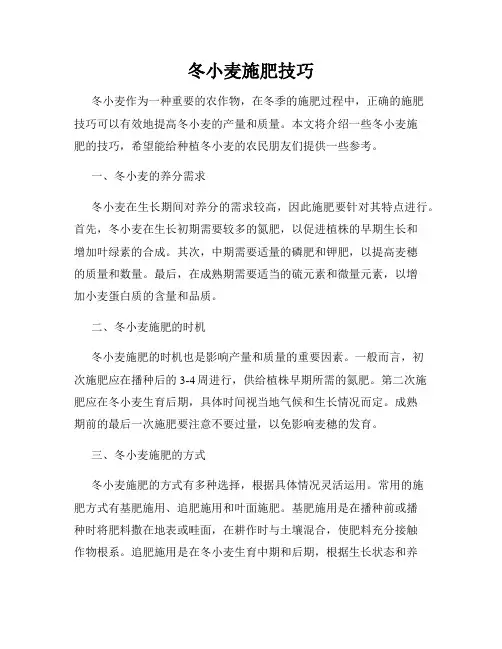 冬小麦施肥技巧