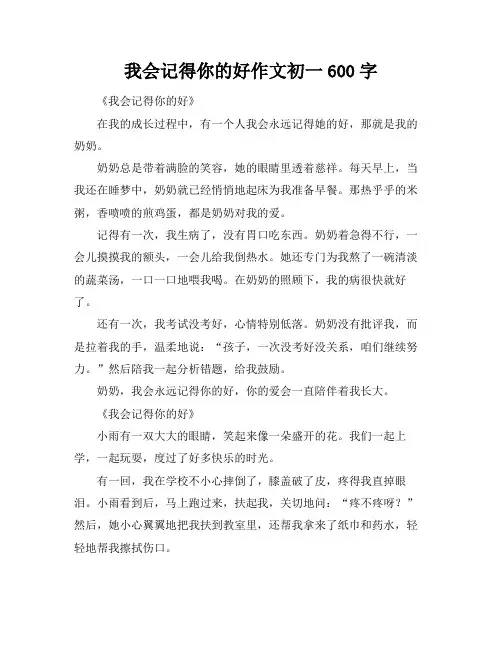 我会记得你的好作文初一600字