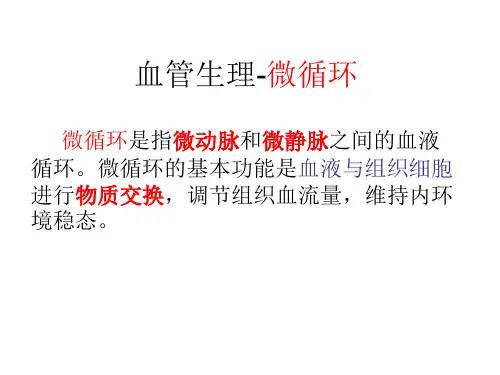 微循环