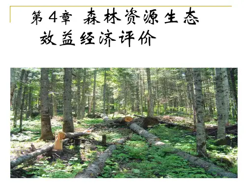 第4章 森林资源生态效益经济评价-