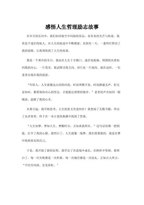 感悟人生哲理励志故事