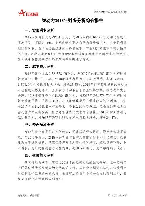 智动力2018年财务分析结论报告-智泽华