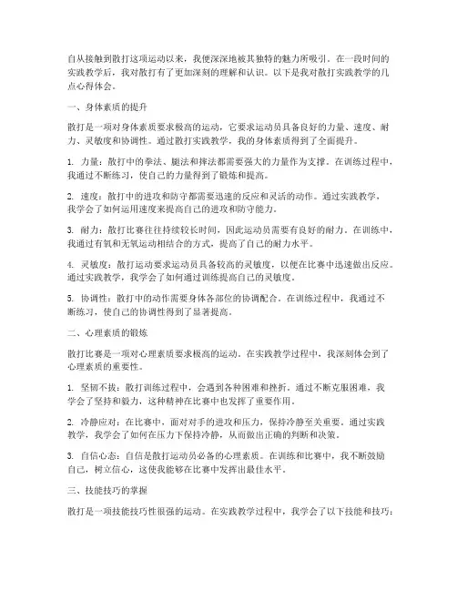 散打实践教学心得体会