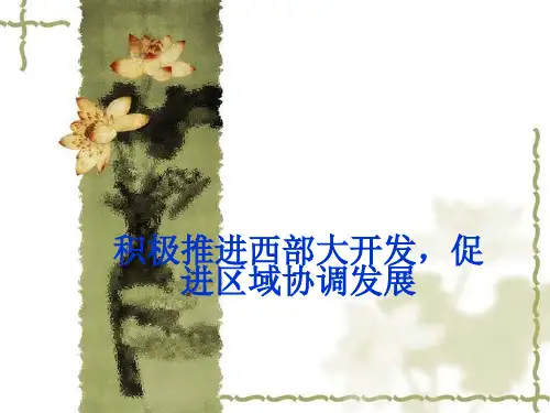 高考政治专题复习八 积极推进西部大开发,促进区域协调发展 课件