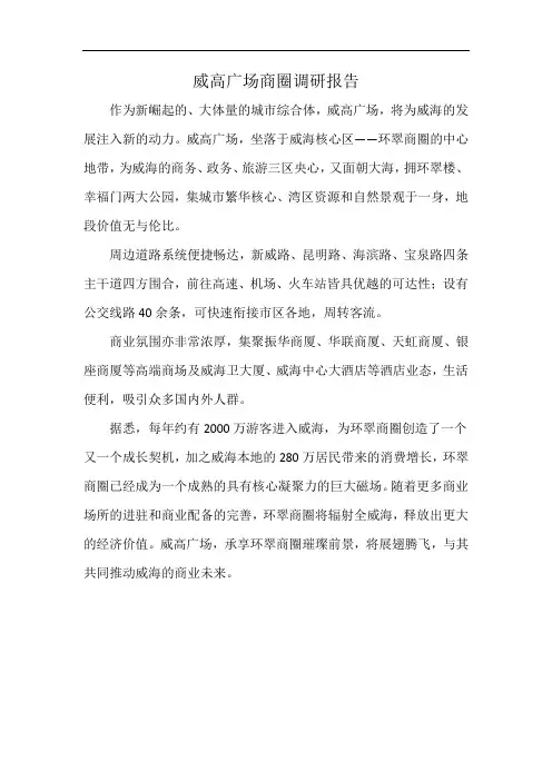 威高广场商圈调研报告