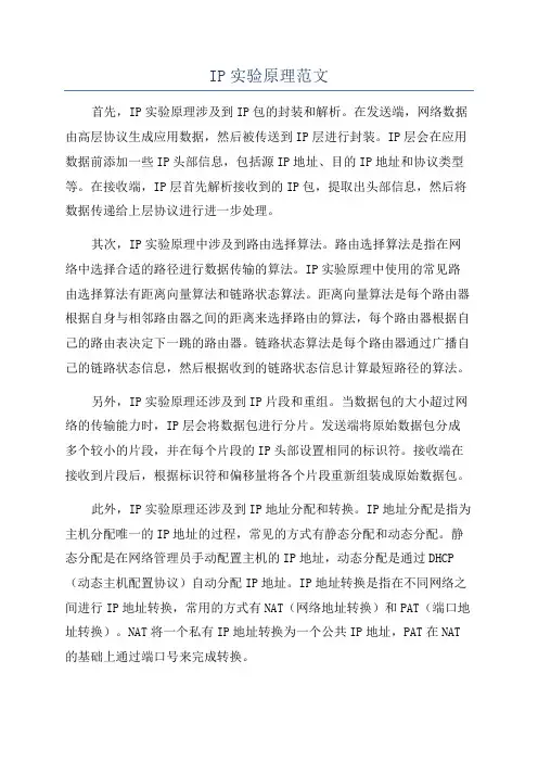 IP实验原理范文