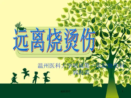 远离烧烫伤(小学生安全教育)