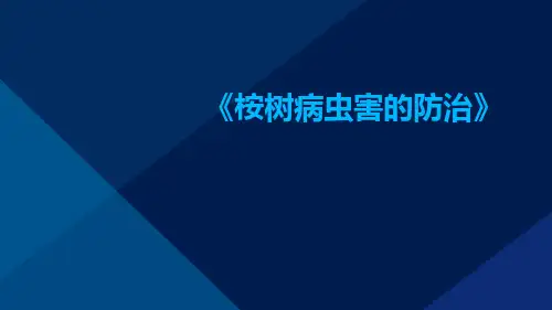 桉树病虫害的防治