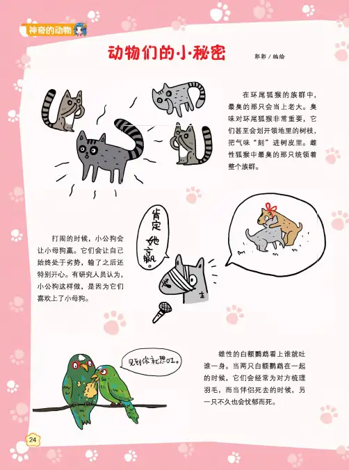 动物们的小秘密