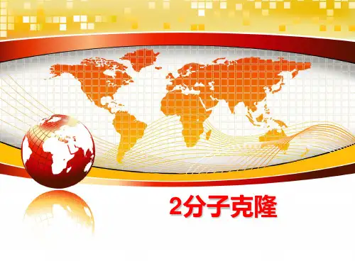 最新2分子克隆