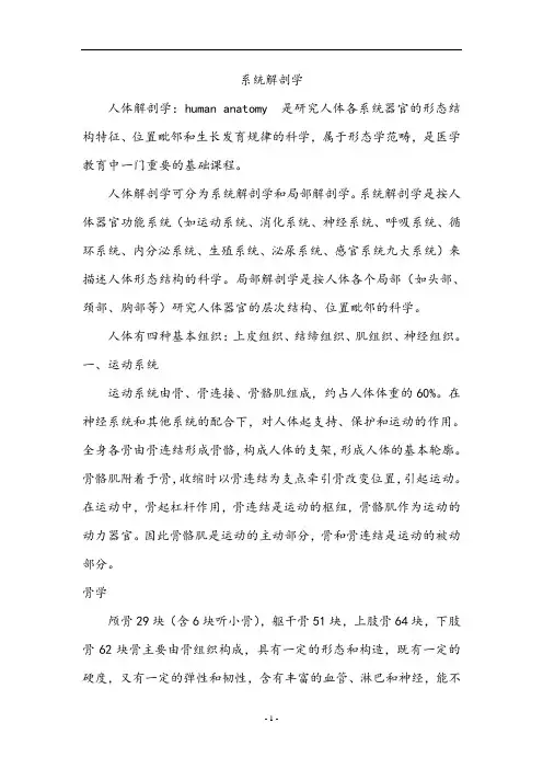 系统解剖学
