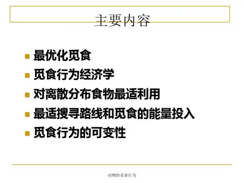 动物的觅食行为课件