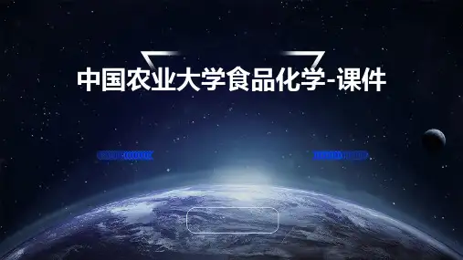 中国农业大学食品化学-课件