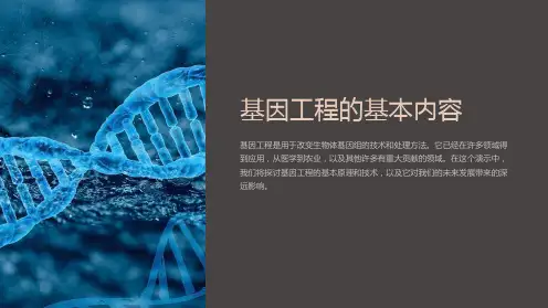 基因工程的基本内容