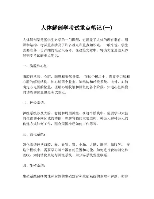 人体解剖学考试重点笔记(一)