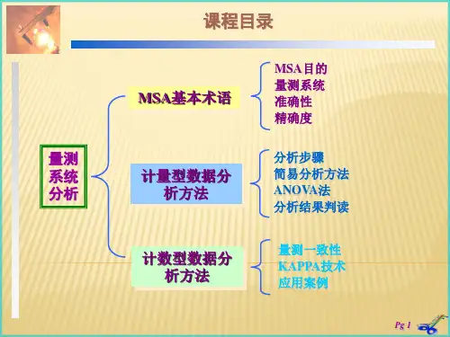 计数型及计量型分析