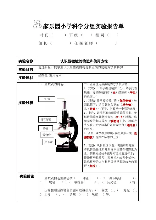教科版六年级下册《用显微镜观察身边的生命世界(一)》优秀实验报告单(含答案)