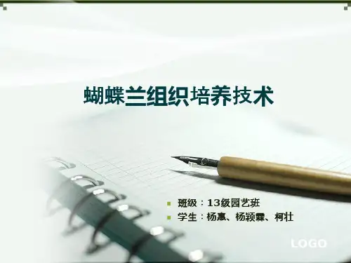 蝴蝶兰组织培养技术