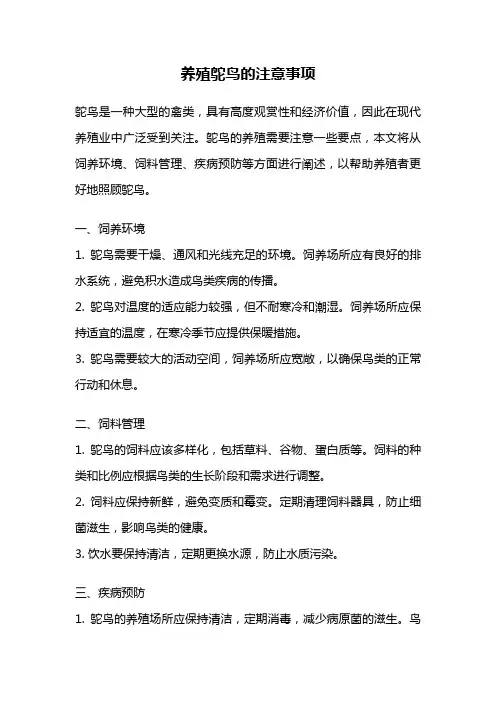 养殖鸵鸟的注意事项