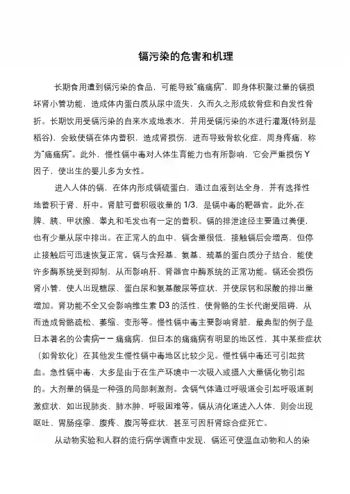 镉污染的危害和机理