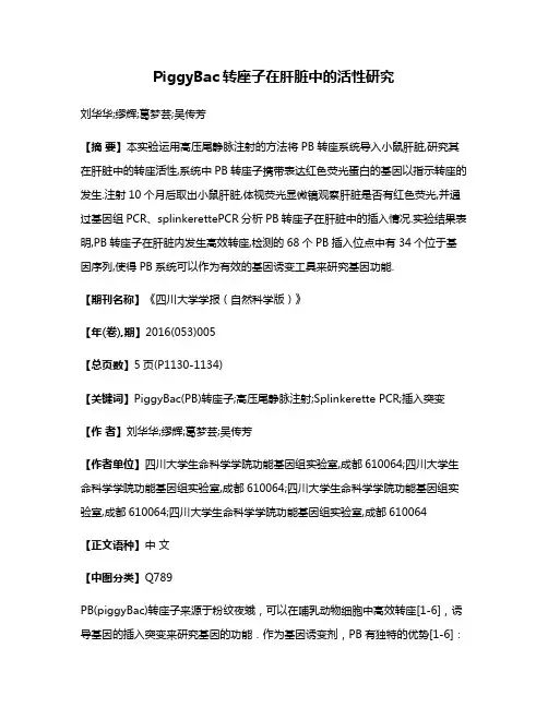 PiggyBac转座子在肝脏中的活性研究