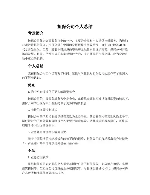 担保公司个人总结
