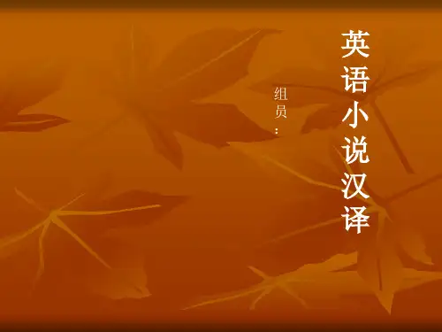 英语小说汉译 (2)