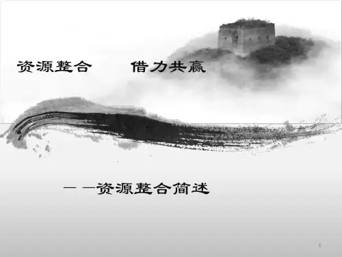 资源整合简述(终稿)ppt课件