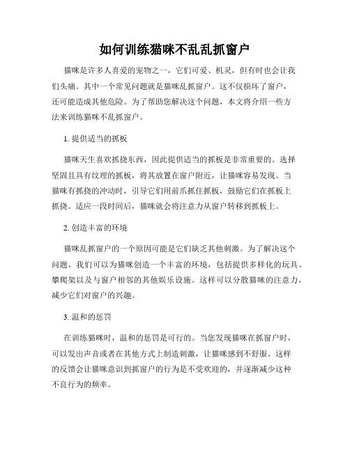 如何训练猫咪不乱乱抓窗户