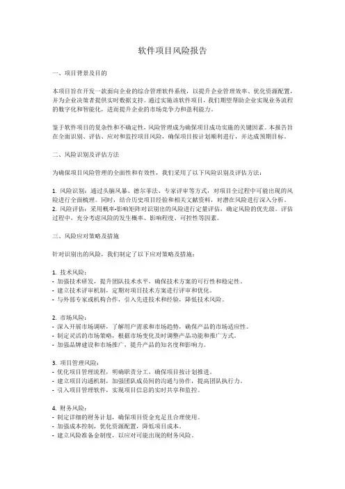 软件项目风险报告