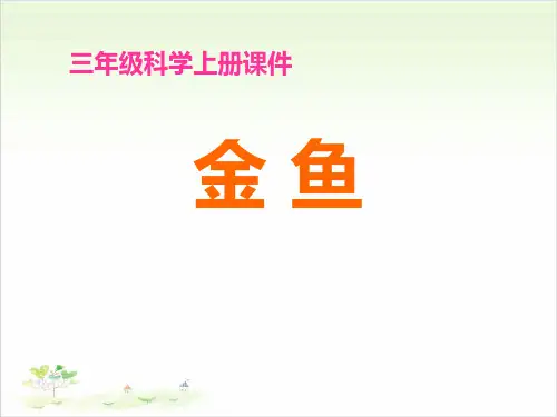 三年级上册公开课-金鱼教科版(22张)课件下载