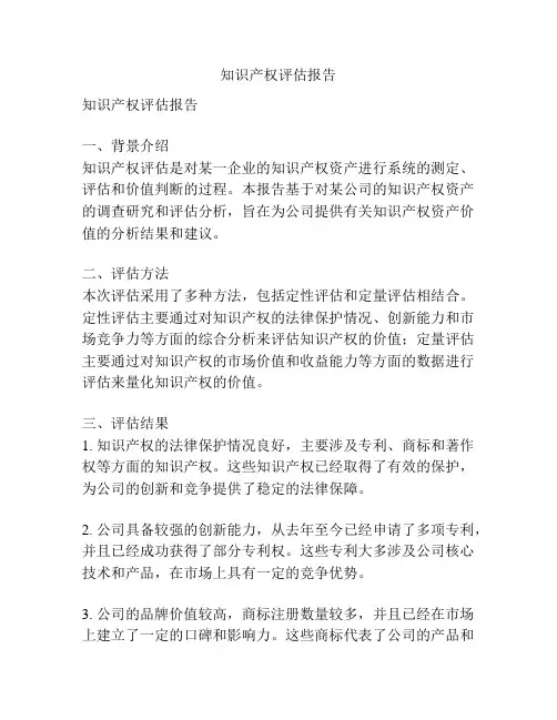 知识产权评估报告