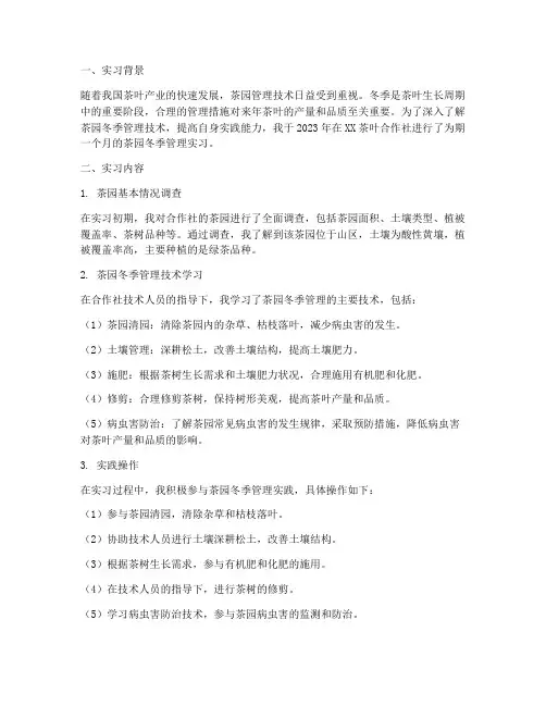 茶园冬季管理实习报告