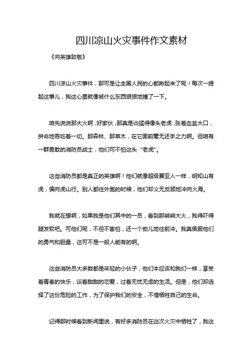 四川凉山火灾事件作文素材