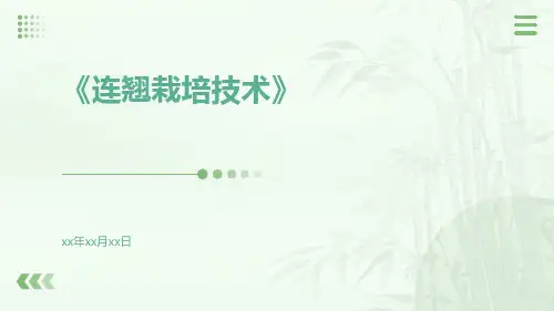 连翘栽培技术